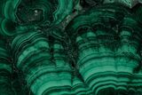 Polished Malachite Slab - Congo #220531-1